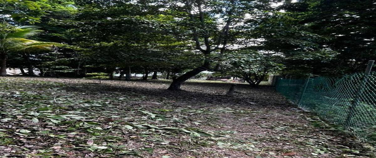 Foto de terreno habitacional en venta en  , aarón merino [colonia], bacalar, quintana roo, 0 No. 03